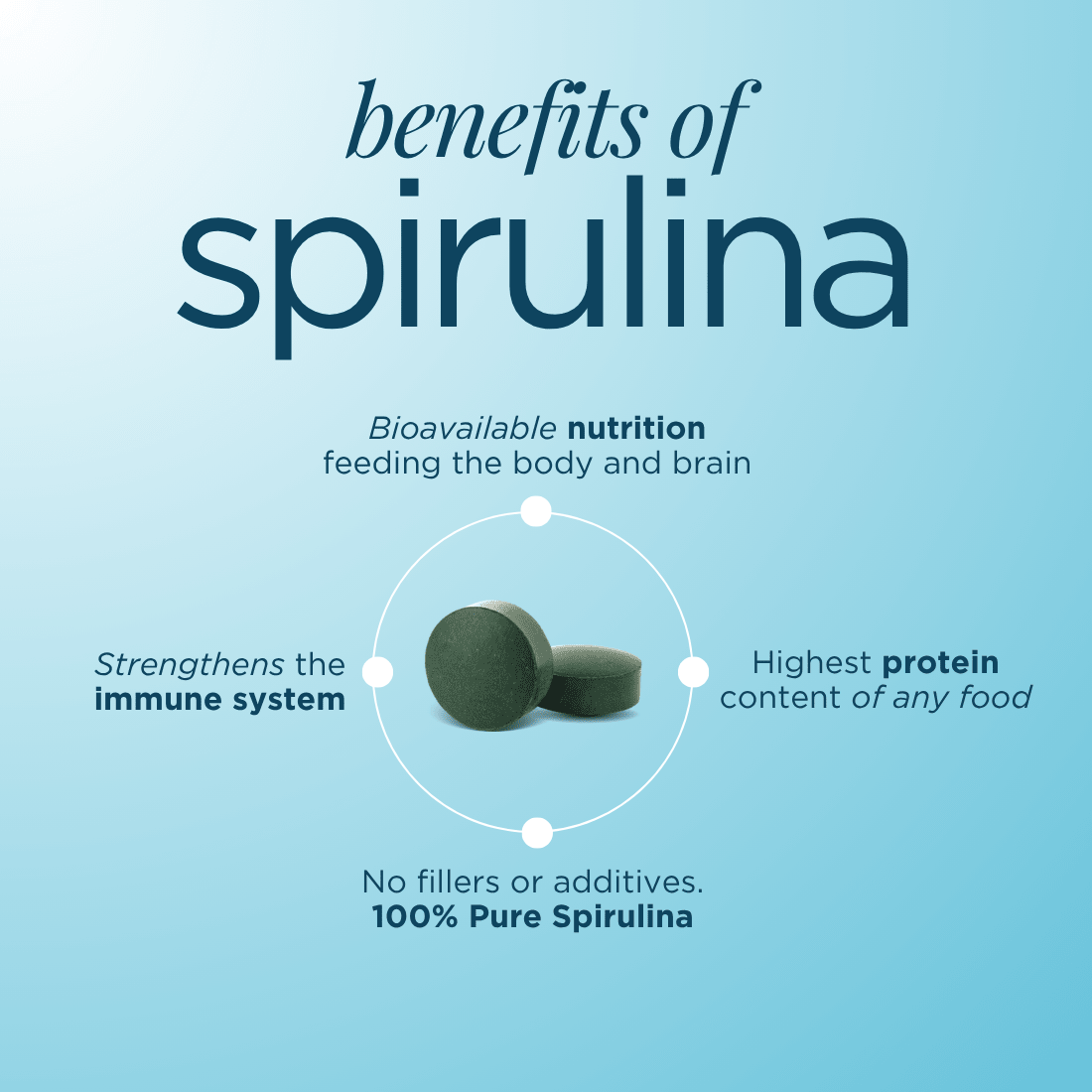 ENERGYbits® Spirulina | Large Bag